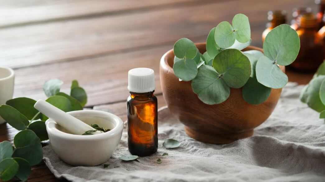 Foto: eucalipto/ getty images