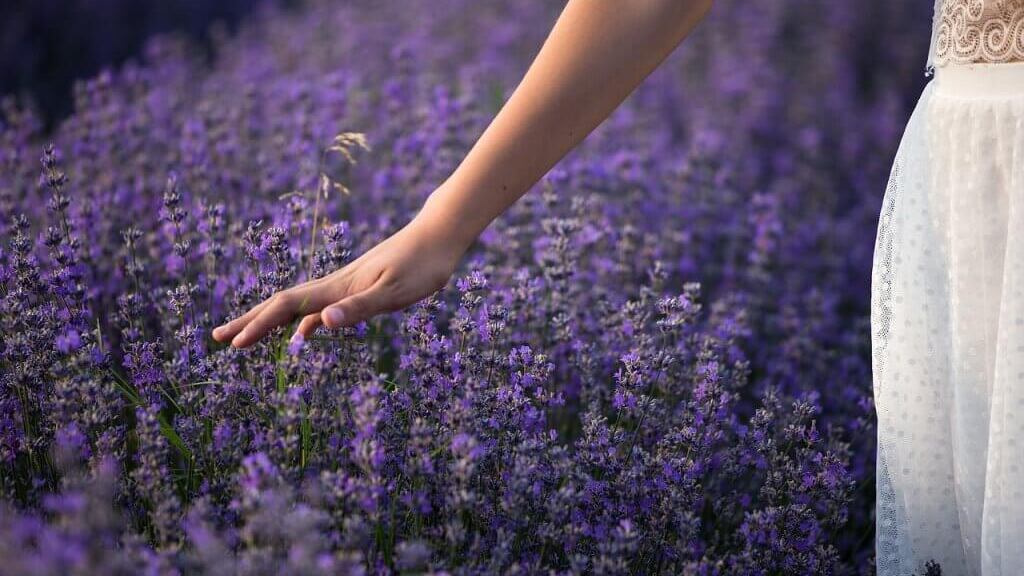 Óleos essenciais para trabalhar desafios da Numerologia