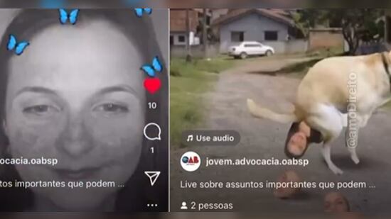 Imagem viralizou no Tik Tok