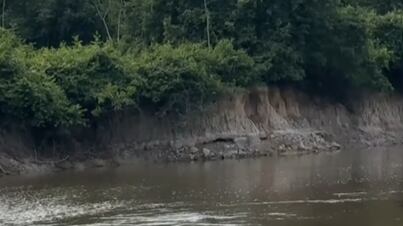 Registro impressionante