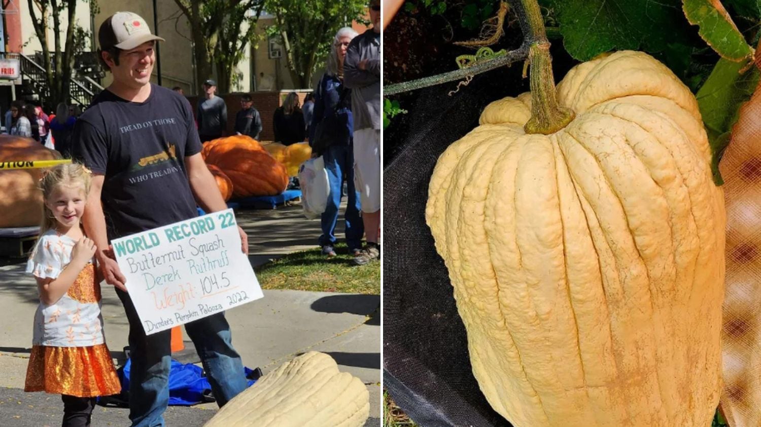 Ela foi cultivada nos Estados Unidos