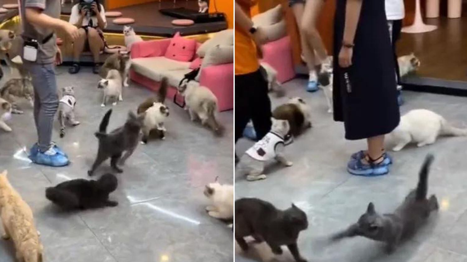 Confusão rendeu memes nas redes sociais