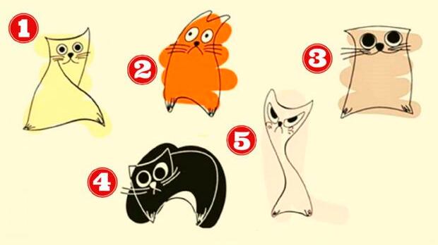 O gatinho colorido escolhido trará detalhes importantes sobre você