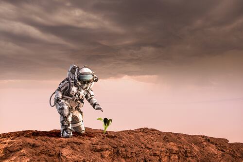 NASA: acompanhe os desafios dos voluntários da missão tripulada para Marte