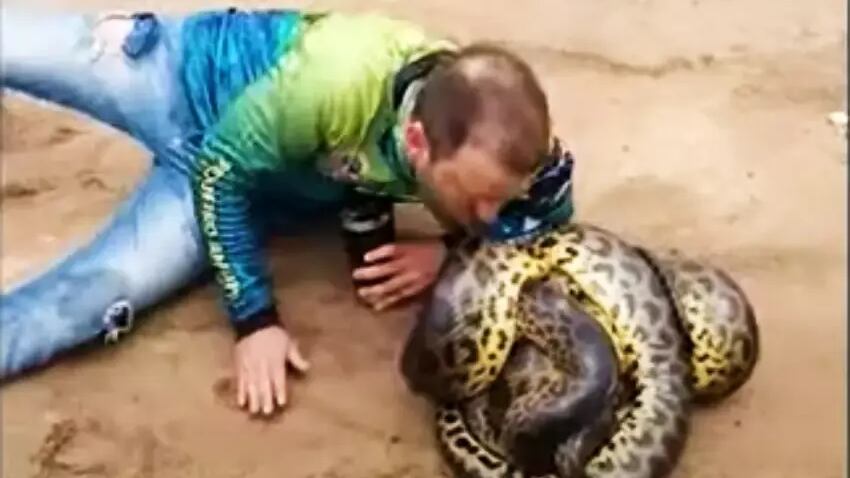 Homem beijando sucuri.