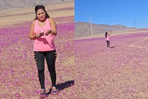 “E daí? E eu com isso?”: mulher que pisou flores do Deserto Florido para selfie se torna viral