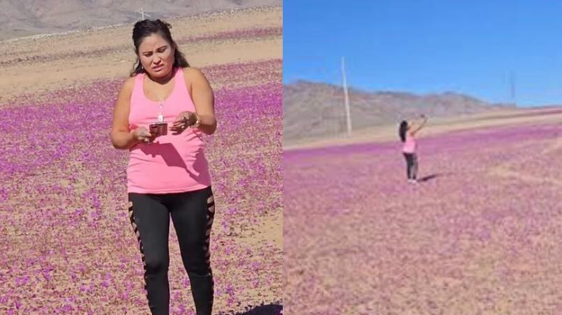 Viralizan a imprudente mujer que pisó flores del Desierto Florido para tomarse una selfie