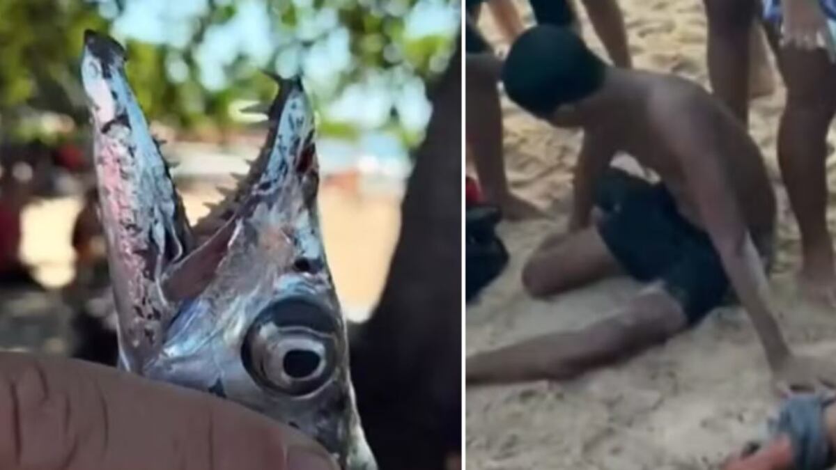 Vítimas foram socorridas e já liberadas de hospital.