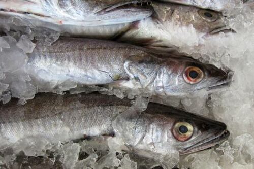 Dicas para comprar um bom peixe fresco durante a Semana Santa
