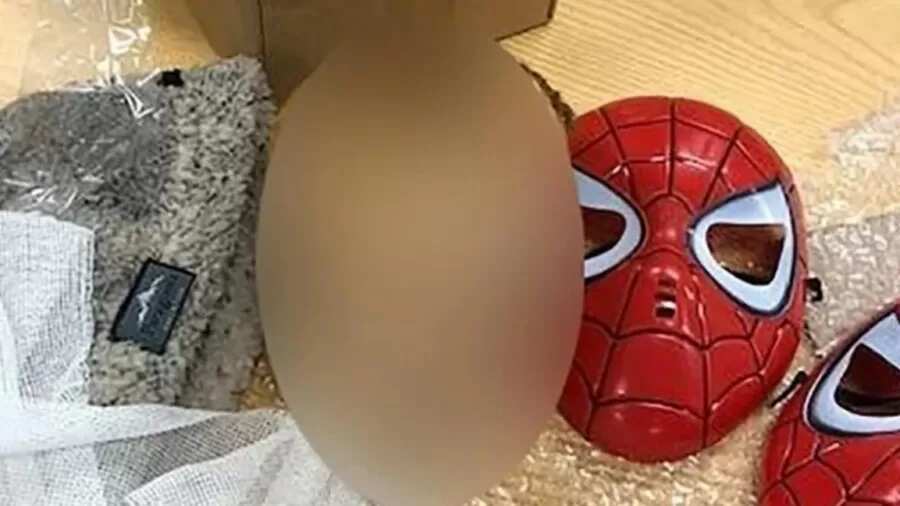 Cabeça decapitada com máscara de homem-aranha achada por correio seria de uma criança