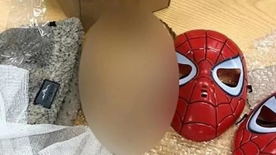 Cabeça decapitada com máscara de homem-aranha achada por correio seria de uma criança
