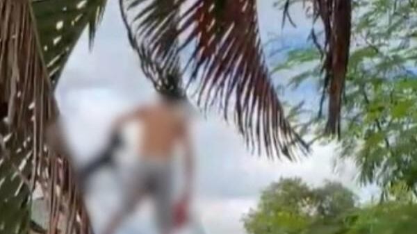 Homem joga cachorro de cima do telhado para 'assá-lo em churrasqueira' e é preso em MG