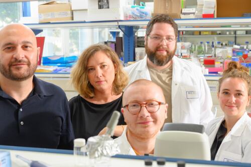 Cientistas criam embrião humano sintético em laboratório sem uso de espermatozoides, óvulos ou útero