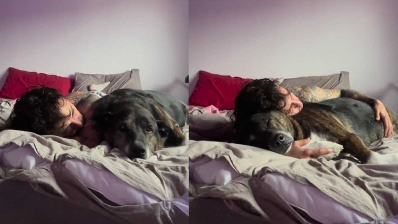 Las mascotas forman parte de la vida de muchas personas y, cuando fallecen, enfrentarse a su pérdida es un proceso doloroso.