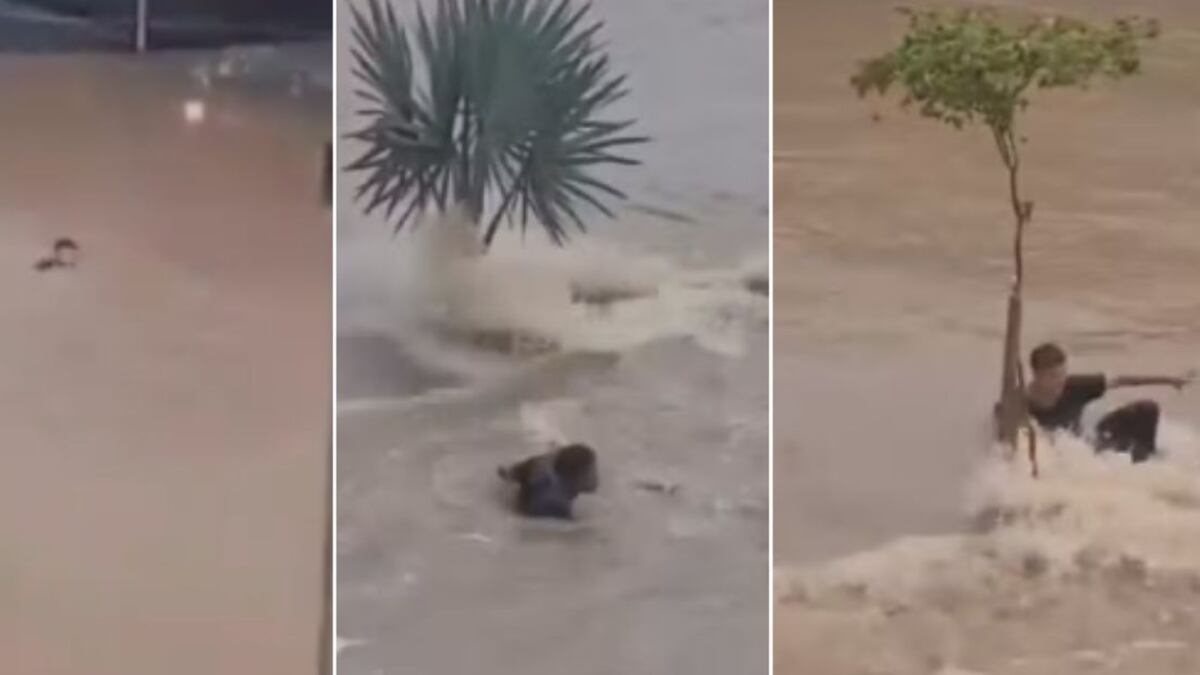 Caso ocorreu durante o forte temporal de terça-feira