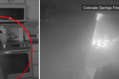 Vídeo: cachorro liga fogão e coloca fogo em residência nos Estados Unidos