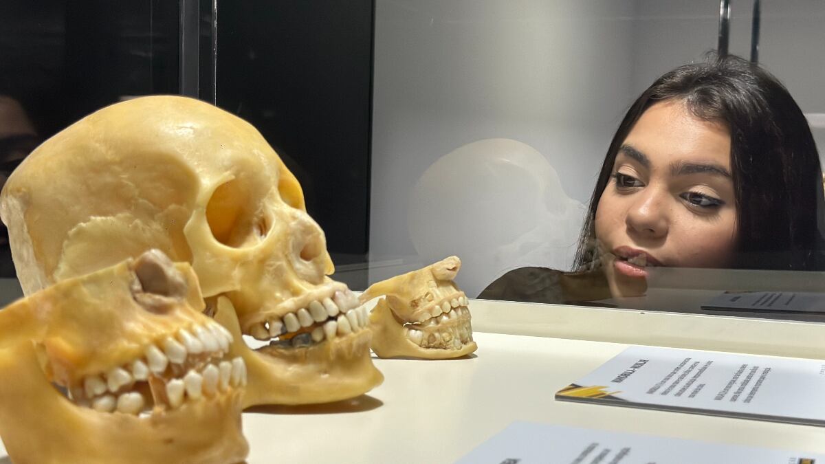 A exposição 'Corpo Humano' segue em cartaz na cidade de São Paulo