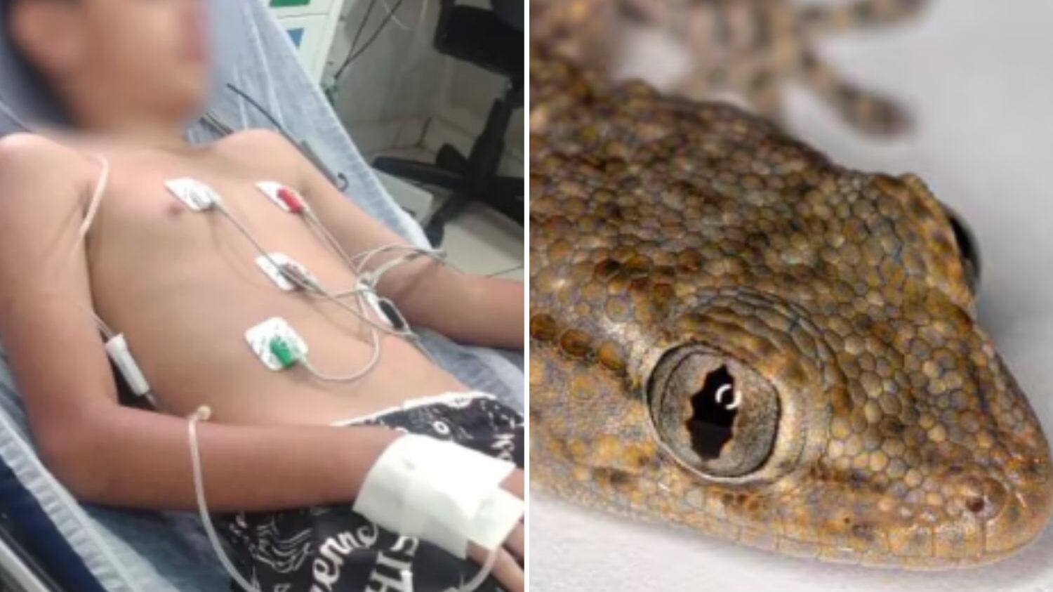 Polícia apura o caso