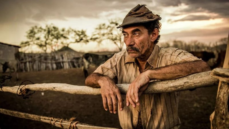 Remake de Renascer: Após Belarmino dos Anjos, Chico Diaz volta às novelas das 21 horas