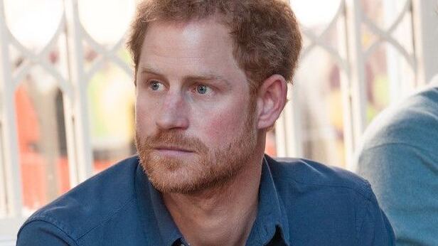 A imprensa britânica também tem especulado que os membros da realeza, principalmente os mais próximos da Rainha Elizabeth II, têm encarado a publicação do livro de Harry como uma pedra no sapato.