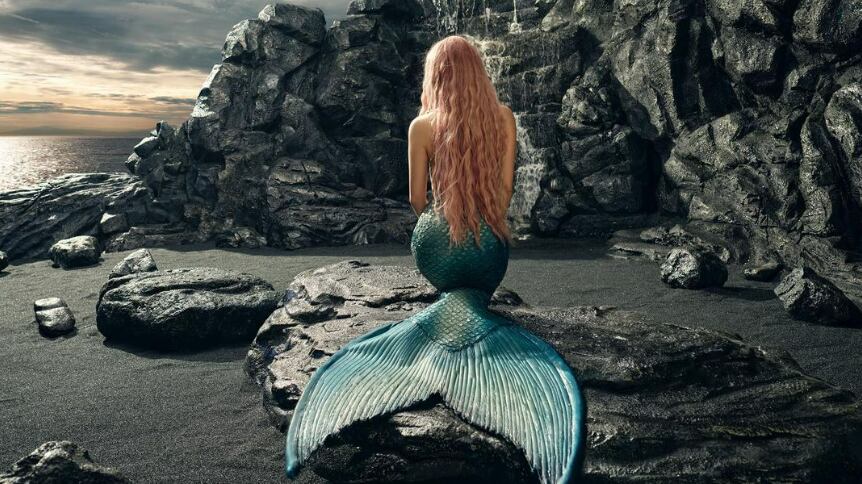 Shakira aparece mais uma vez de sereia
Foto: @shakira