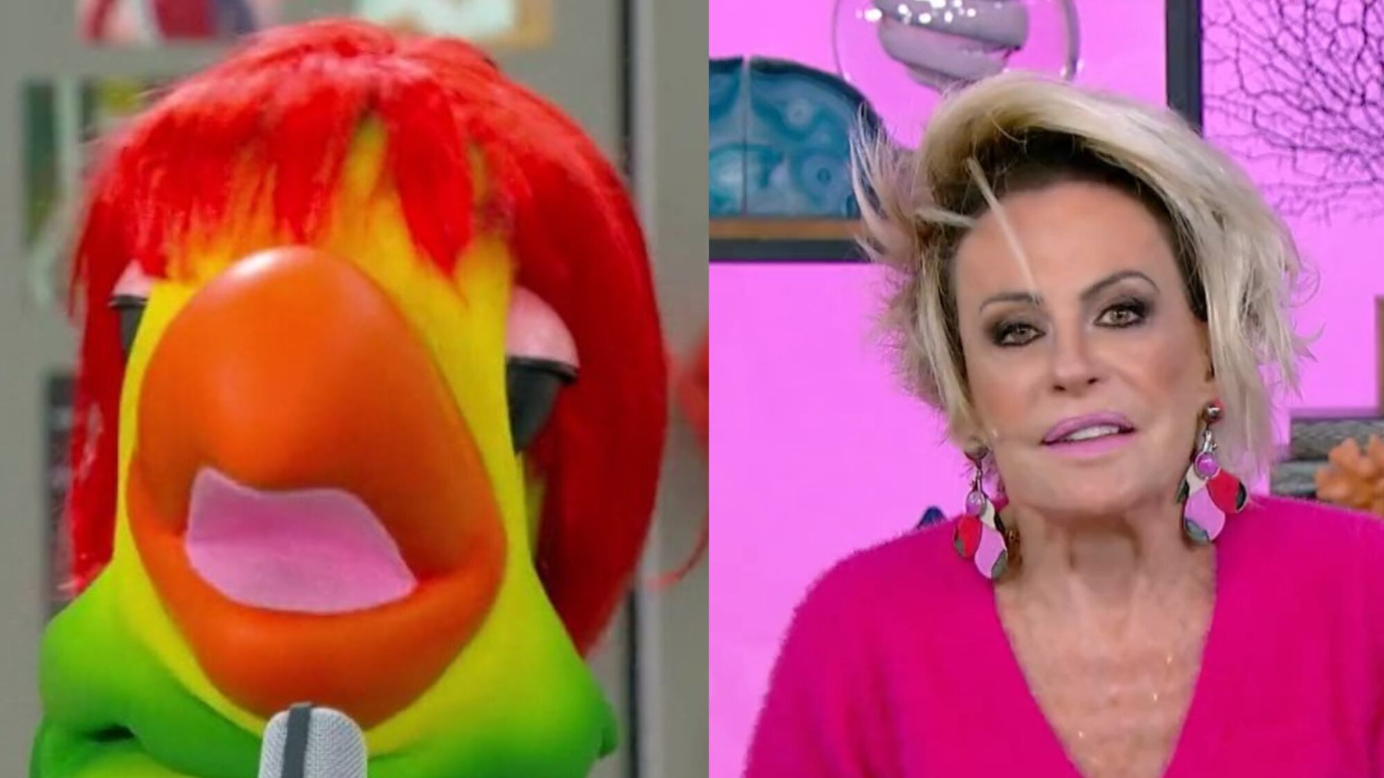 Ana Maria se veste de "rosa choque" em homenagem à Rita Lee