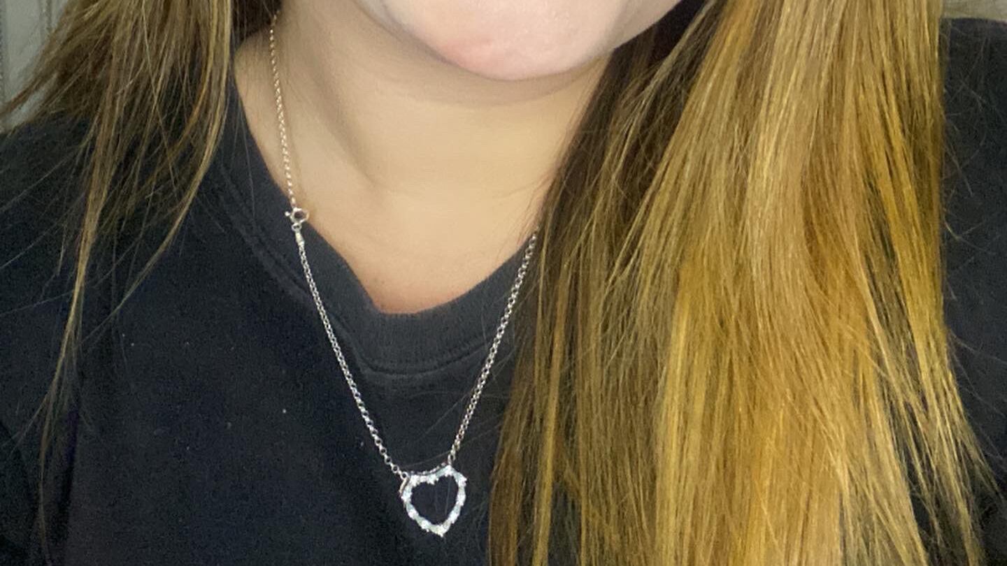 Irmã gêmea de Alexandra Hazan faleceu supostamente em 1996.