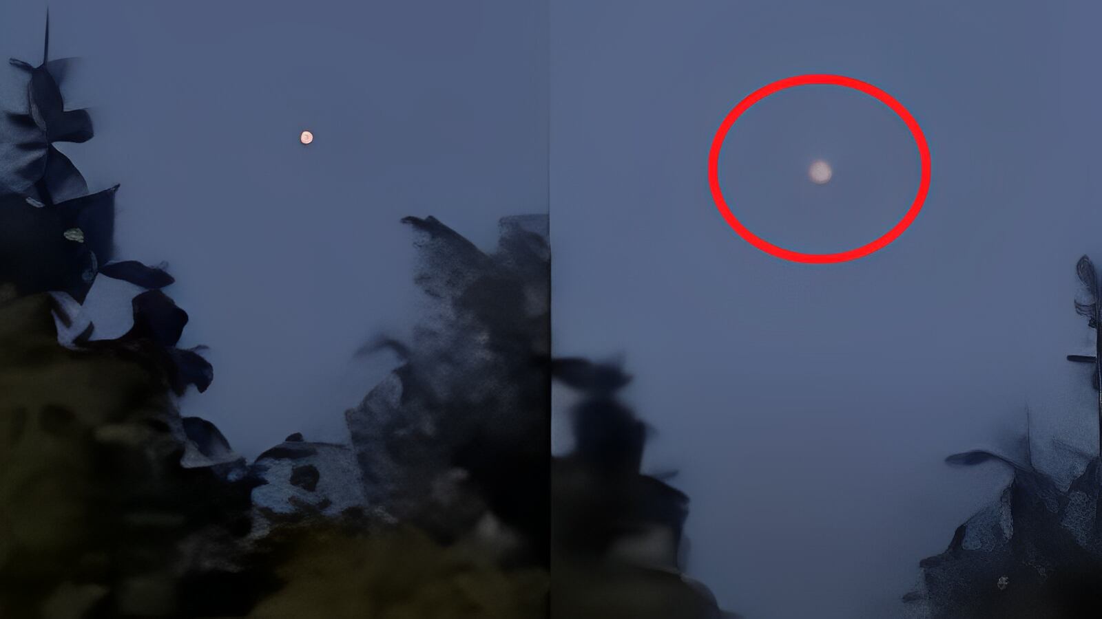 Imagens mostram suposto OVNI capturado por homem que passeava com cachorros