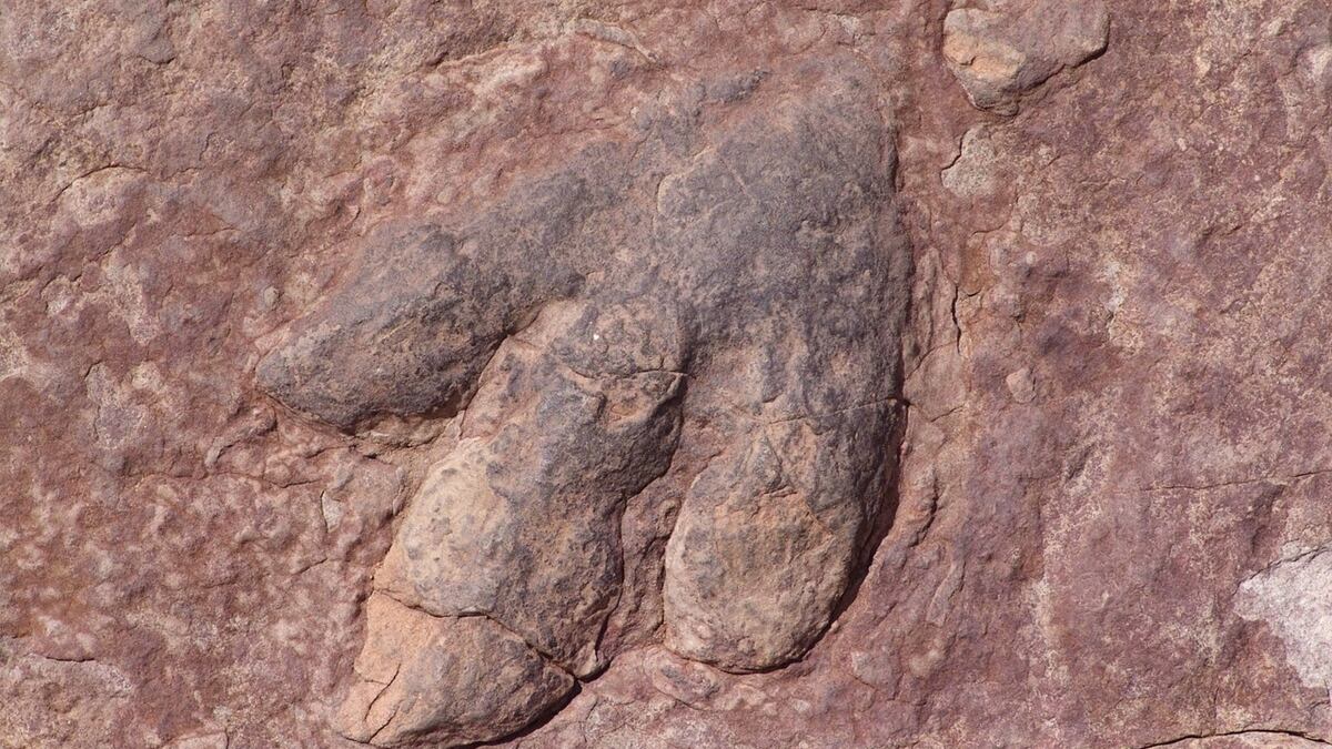 Huella de dinosaurio - imagen de archivo (Pixabay)