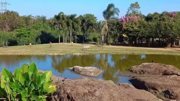 Foto: Divulgação/Redes Sociais/Prefeitura