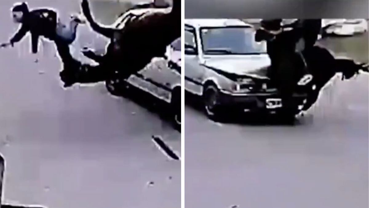 Choque a caballo / X