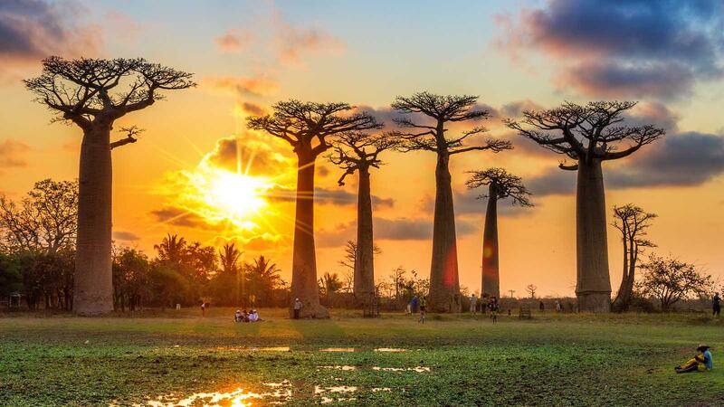 Madagascar en la vida real.