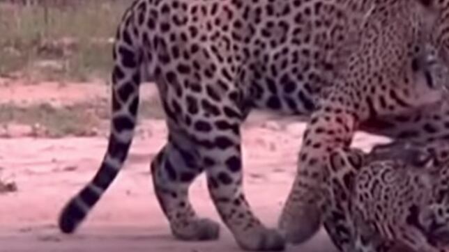 Confira novo registro!