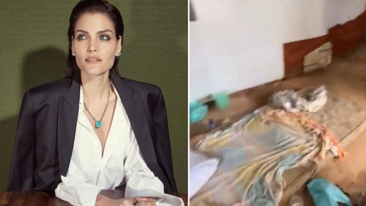 Eles foram libertados após serem roubados