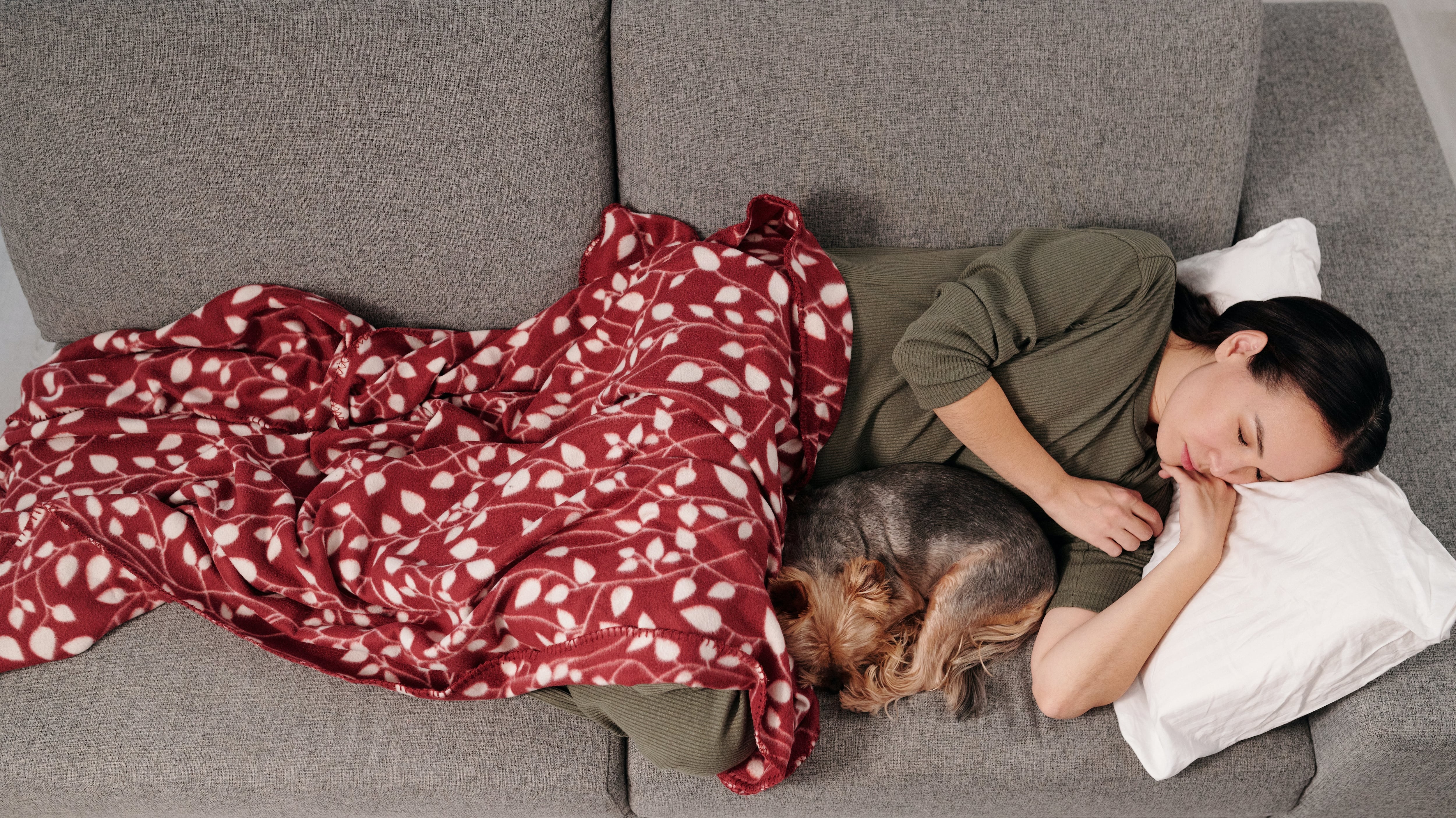 Mulher deitada no sofá ao lado de cachorro coberta com manta vermelha