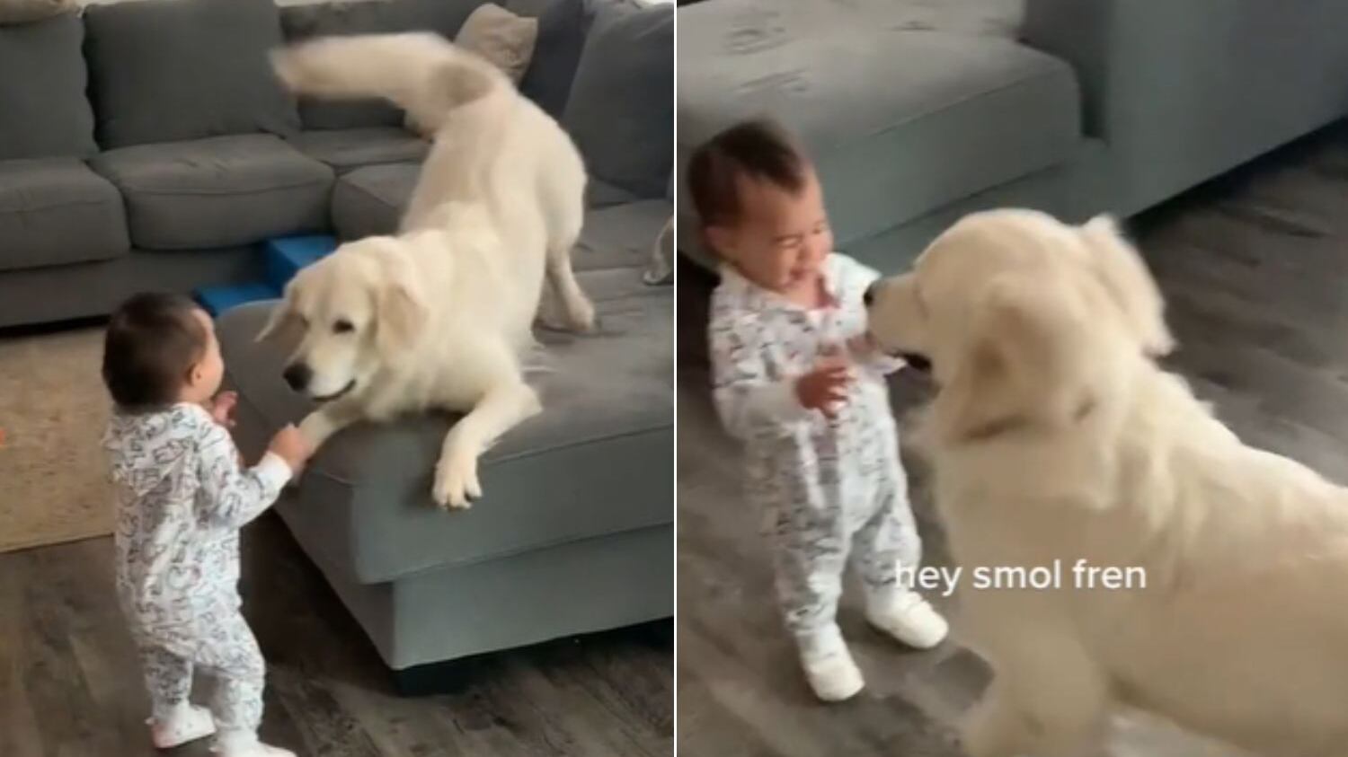 Registros de Taco e Vanora fazem sucesso no TikTok