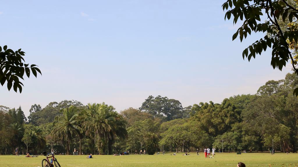 Ibirapuera sedia encontro para troca de figurinhas