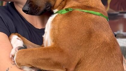 Laís não foi adotada e demonstrou semblante triste