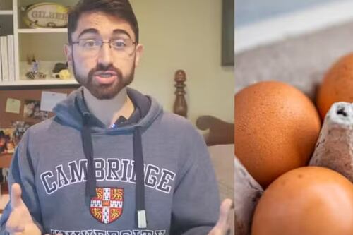 Estudante de Harvard revela o impacto do consumo de 720 ovos em um mês