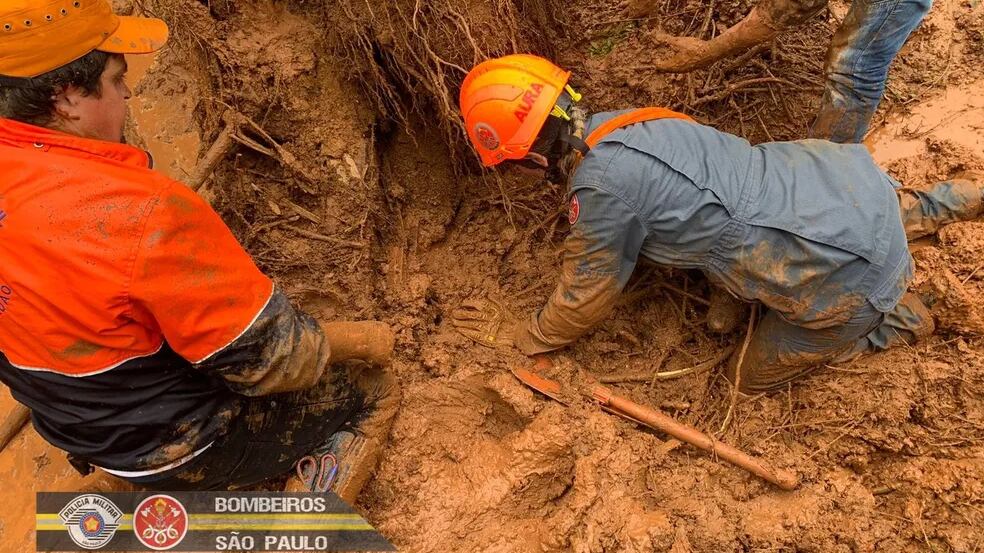 Cachorro é resgatado com vida após ser soterrado em Campos do Jordão