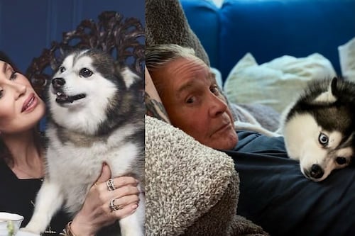 Cachorro de Ozzy Osbourne morre três meses após a morte do cantor: “Estão juntos agora”