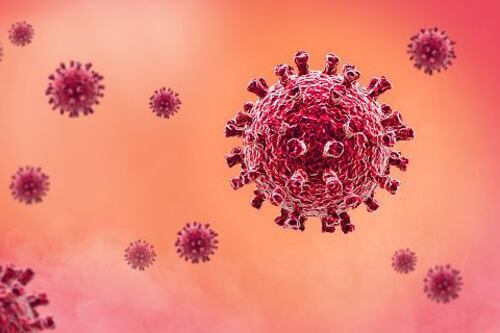 Covid-19: cientistas encontram subvariante altamente mutante e temem nova onda de contágio