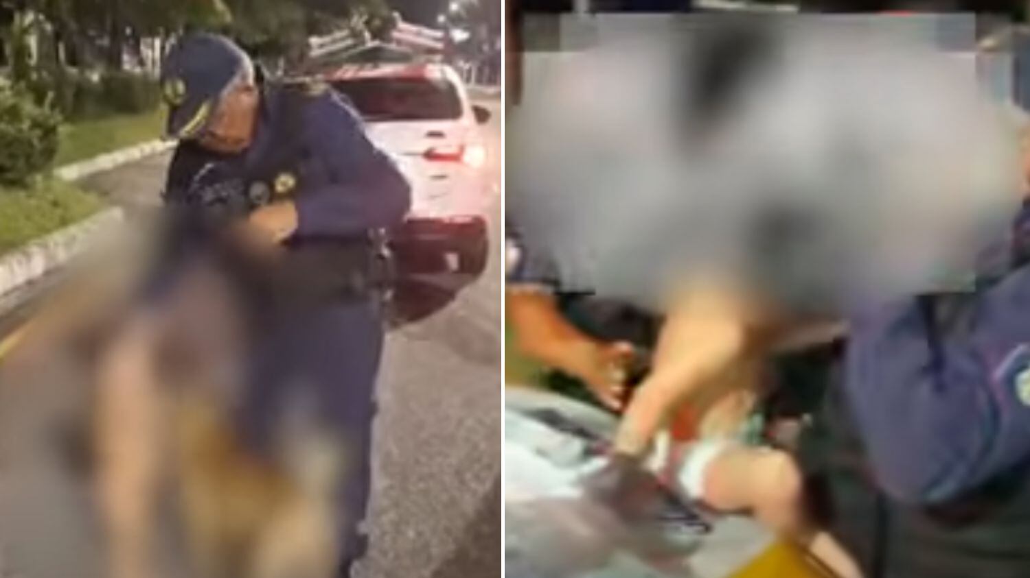 Eles estavam ilesos e foram devolvidos à família