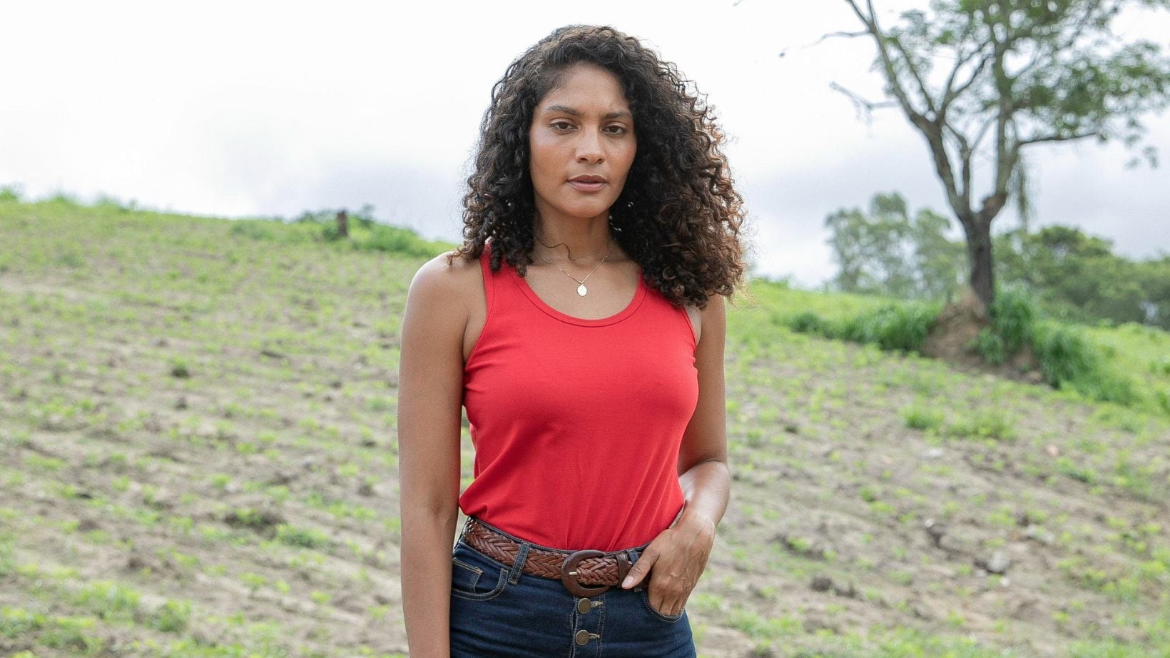 Terra e Paixão: no final da novela, Aline descobre que suas terras não valem quase nada