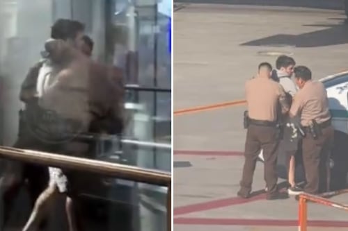 VÍDEO: Brasileiros são detidos acusados de tentarem entrar à força em voo em Miami, nos EUA