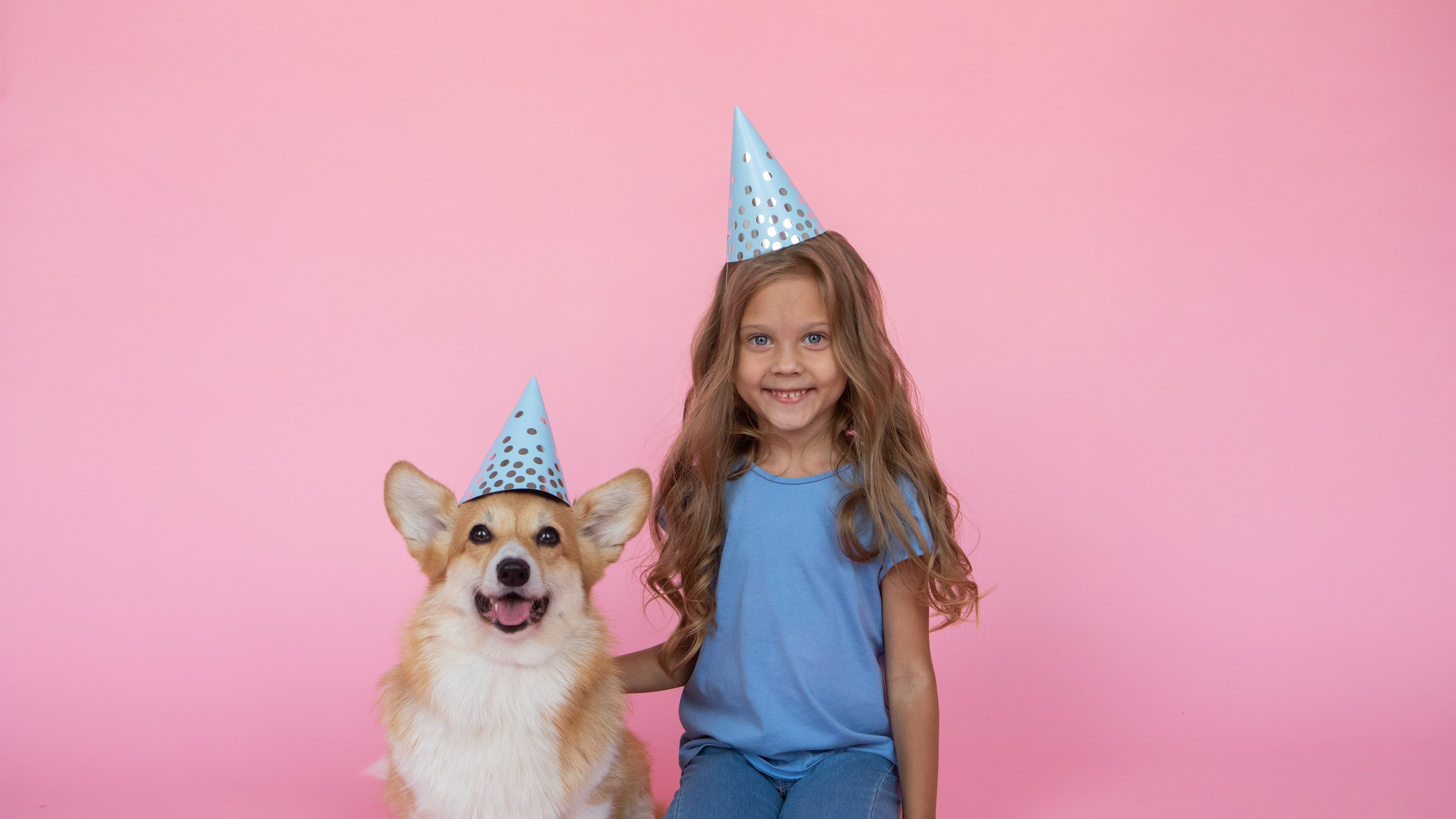 Cão e criança com chapéu de aniversário