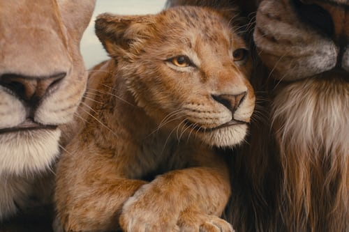 ‘Mufasa: O Rei Leão’ é o tributo que os fãs da clássica animação estavam esperando