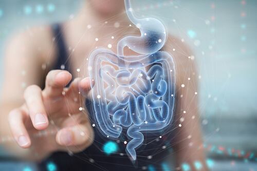 Probióticos em cápsulas, sua importância e como incluí-los em sua dieta diária para melhorar a saúde