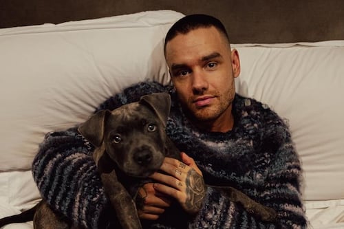 Liam Payne deixou uma grande fortuna antes de morrer: quem serão seus herdeiros?