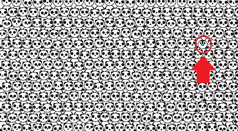 Você realmente tem boa visão? Prove encontrando o pinguim escondido nesta imagem